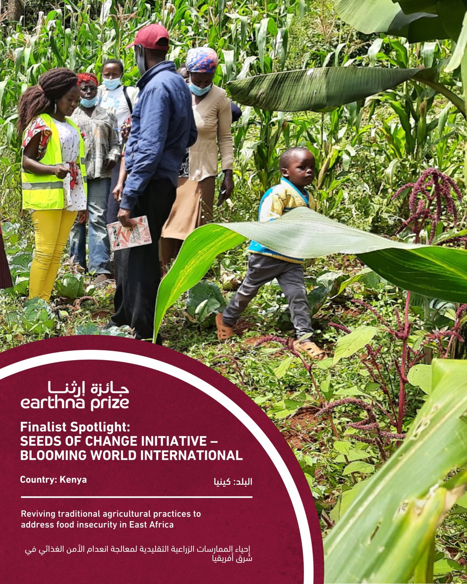 Earthna (@earthnaqa) on Twitter photo The <a href="/BWI_Worldwide/">Blooming World International</a> Seeds of Change Initiative (SOCI) revives traditional farming in East Africa by promoting African Indigenous Vegetables, empowering smallholder farmers, and enhancing food security through sustainable practices.
#EarthnaPrize
<a href="/QF/">Qatar Foundation</a>
earthna.qa/prize-finalist… The <a href="/BWI_Worldwide/">Blooming World International</a> Seeds of Change Initiative (SOCI) revives traditional farming in East Africa by promoting African Indigenous Vegetables, empowering smallholder farmers, and enhancing food security through sustainable practices.
#EarthnaPrize
<a href="/QF/">Qatar Foundation</a>
earthna.qa/prize-finalist…