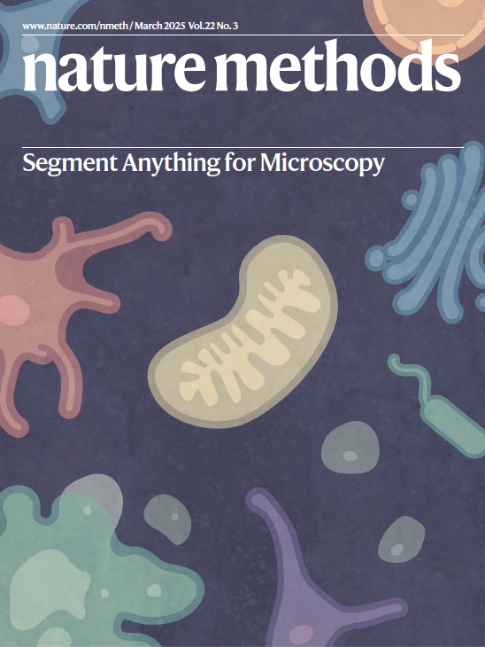 Our March issue is now live! 🥳
nature.com/nmeth/volumes/…

The cover represents the process of cell and organelle segmentation by Segment Anything for Microscopy. 
Paper here: nature.com/articles/s4159…

Cover by Sebastian von Haaren.