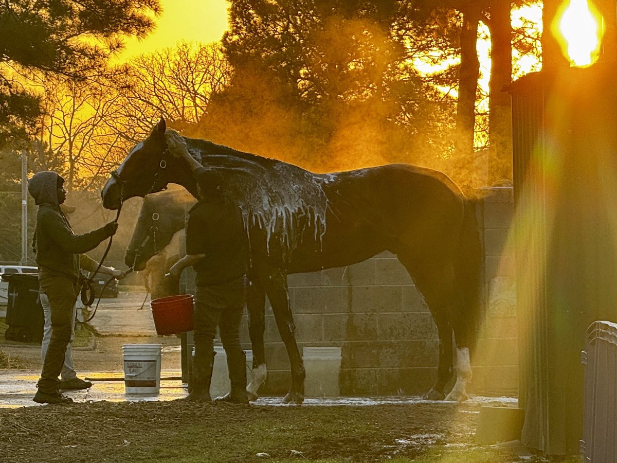 Nancy Holthus (@nancyuryholthus) on Twitter photo I know. I know. The proverbial bath shot. But when the sun shines and the steam rises in the barn area <a href="/OaklawnRacing/">Oaklawn Hot Springs</a>, it turns my black heart to mush. #lovethisgame #horseracing I know. I know. The proverbial bath shot. But when the sun shines and the steam rises in the barn area <a href="/OaklawnRacing/">Oaklawn Hot Springs</a>, it turns my black heart to mush. #lovethisgame #horseracing