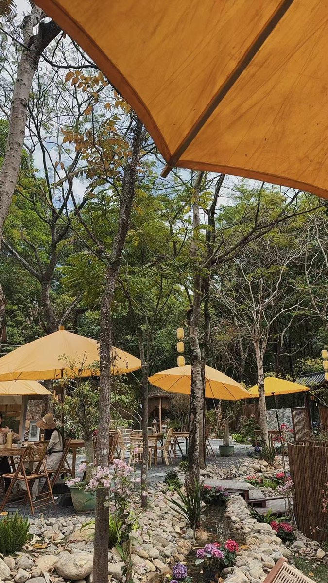 Sunny and beautiful camping environment, suitable for drinking tea and chatting