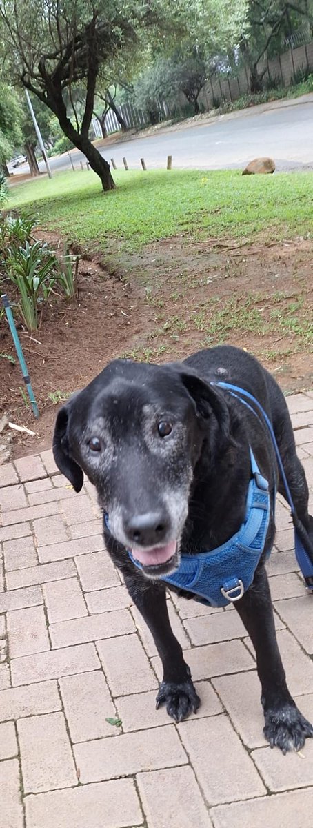 Princess Casey 🌈 Prince Sparky 🌈 Baby Ginny💕 tweet media