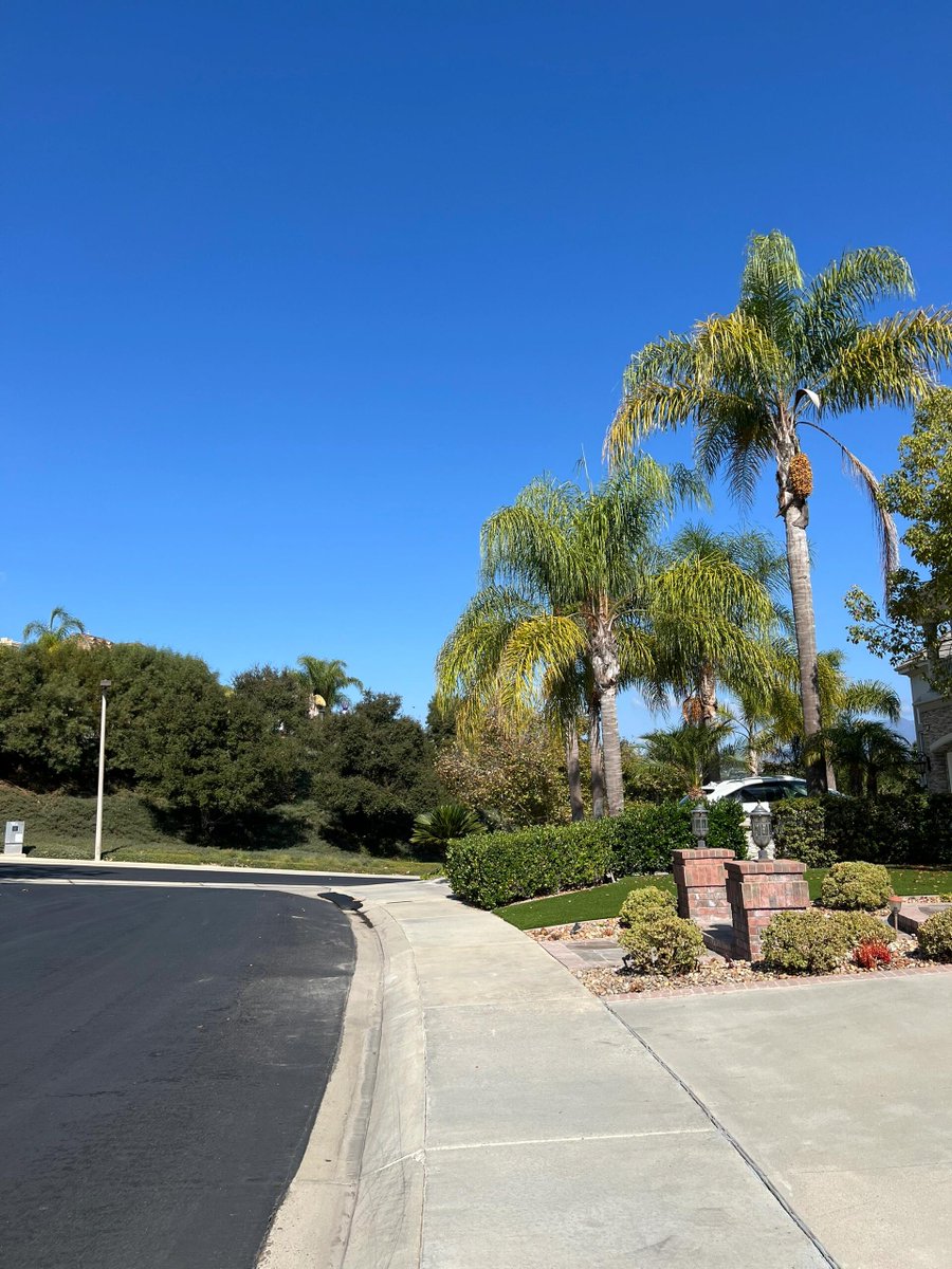 How do you like this sunshine?