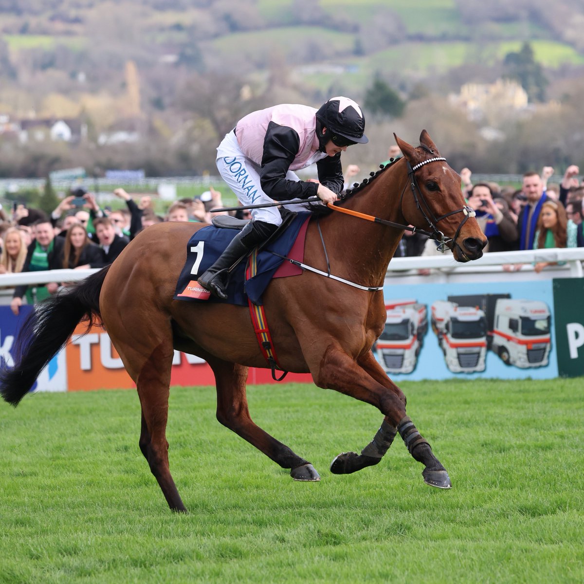 Racing Post tweet media