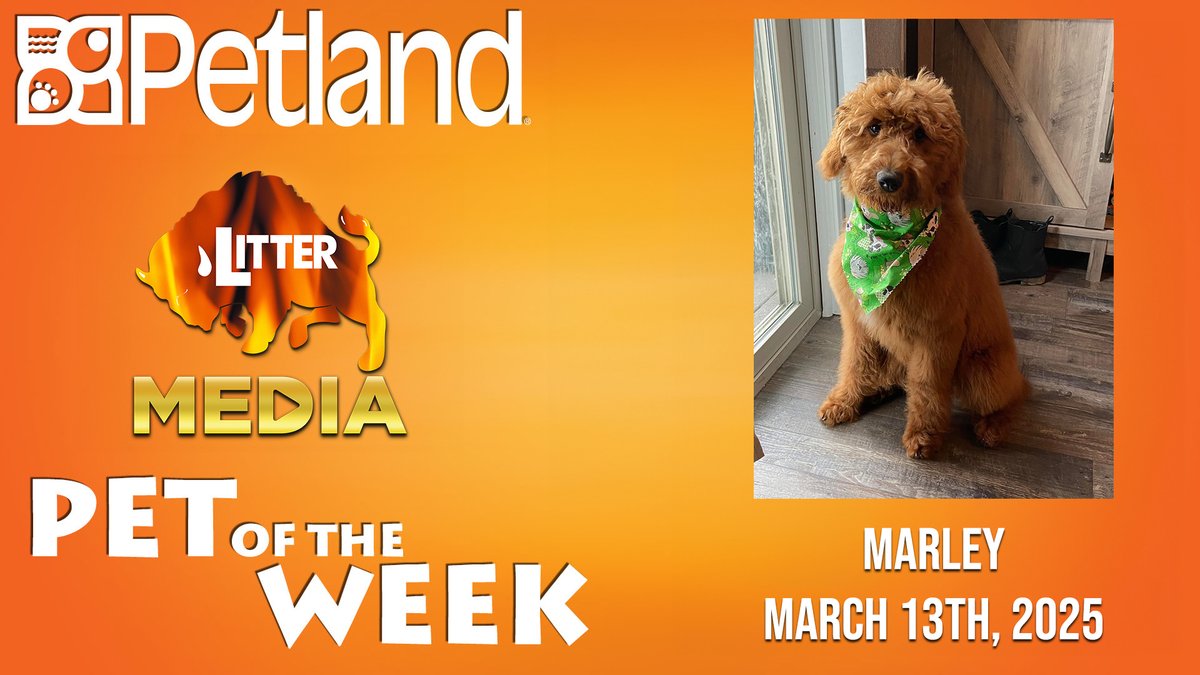 Our Petland Chillicothe-Litter Media Pet of the Week this week is Marley!

Marley is a 2 year old golden doodlge belonging to Ella Cutright, who says, "Marley loves to play in the snow during winter and cool off in the pool during summer. She loves playing fetch and eating Trix