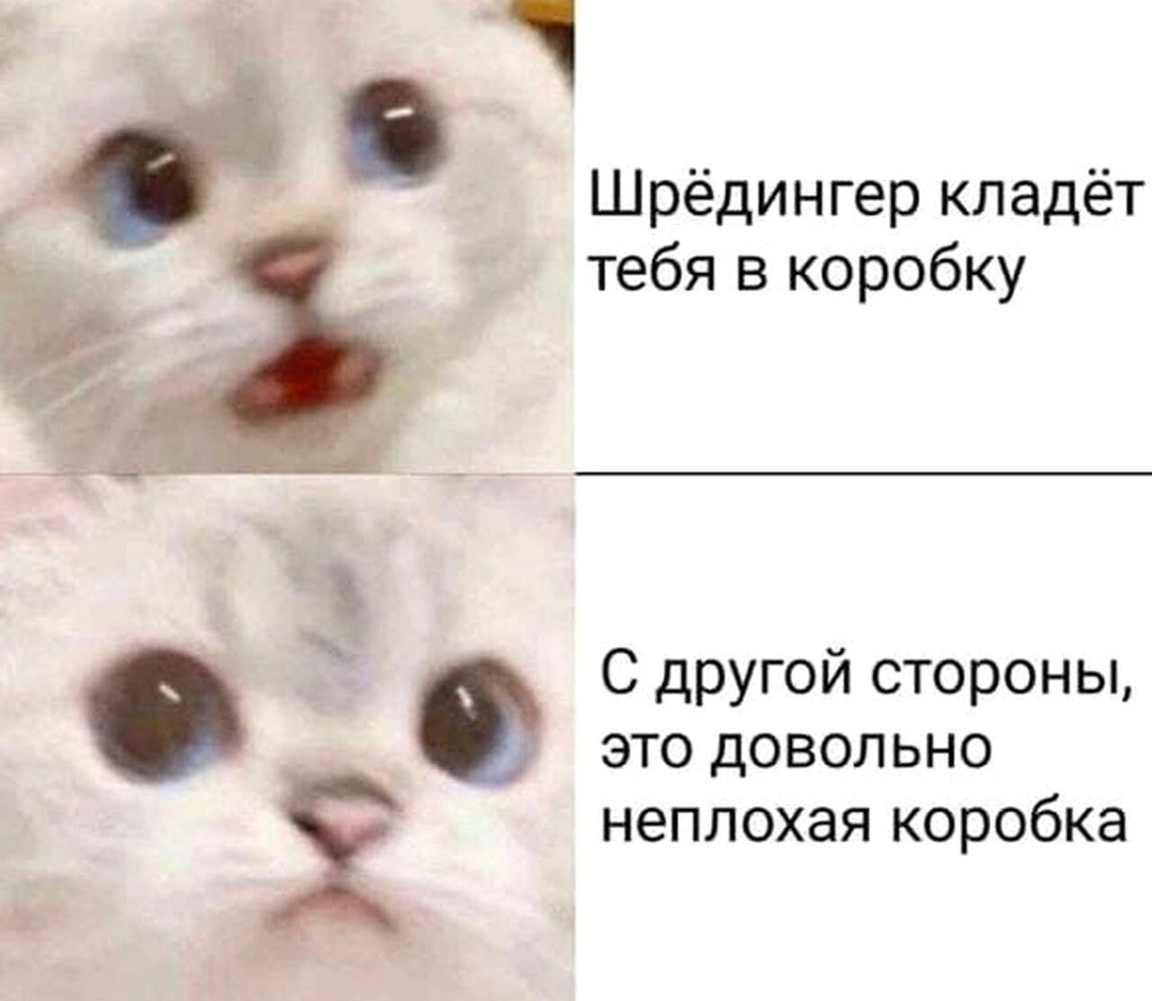 arhivach.org цопе  