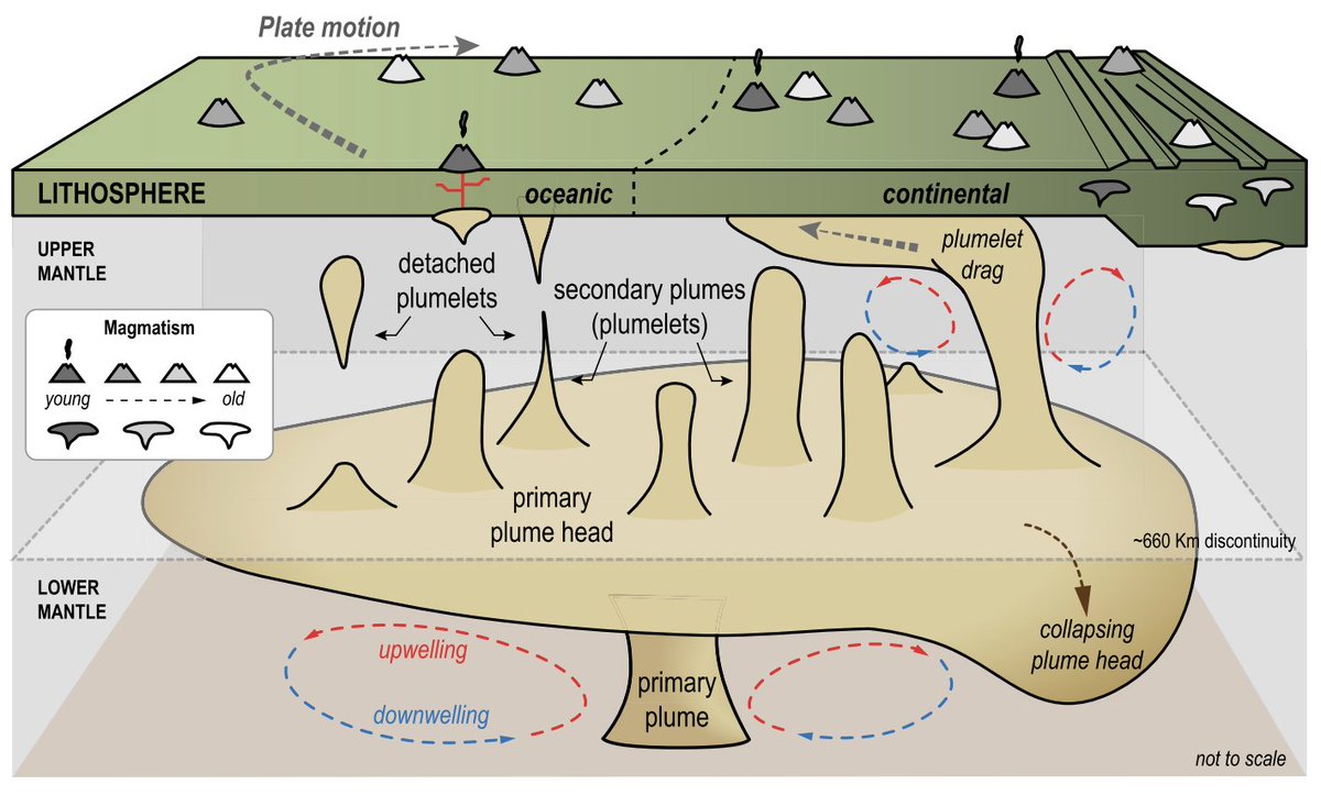 Neste paper mostramos que a fonte mantélica (superpluma) que alimentou o vulcanismo em Portugal no Cretácico (Sintra, Sines, Monchique, etc) parece ser a mesma que está hoje por baixo das Canárias:

doi.org/10.1130/G52930…

@idlinstitutodomluiz <a href="/FCTNOVA/">Faculdade de Ciências e Tecnologia | NOVA FCT</a>