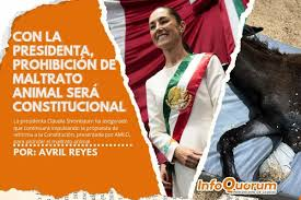 ¿La Reforma Constitucional sobre el "bienestar animal" es una farsa? <a href="/Claudiashein/">Claudia Sheinbaum Pardo</a>  <a href="/DiputadosMorena/">Tus Diputadas y Diputados Morena</a>  <a href="/VeroDelgadilloG/">Verónica Delgadillo</a> <a href="/MovCiudadanoMX/">Movimiento Ciudadano | Movimiento Naranja</a>   El voto fue unánime, se presume un avance, pero sigue dejando  intactos los intereses de los que $ con la violencia en contra de los animales.