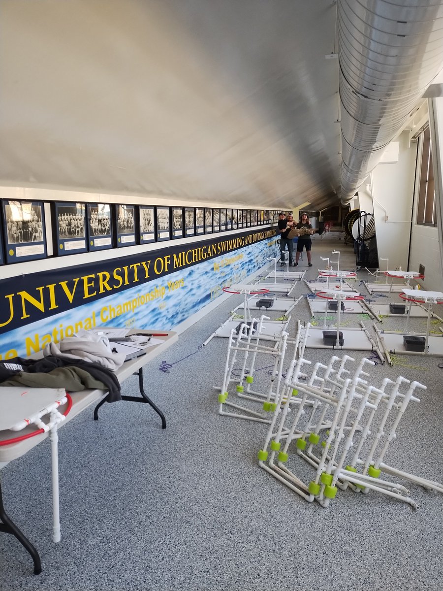 CHSRedwolfSTEM's tweet image. The @CHS_LeadsTheWay Advanced STEM students responsible for all of the Michigan Regional SeaPerch courses for this Saturday! Great workers, prepping for a fantastic event 🐟🤖