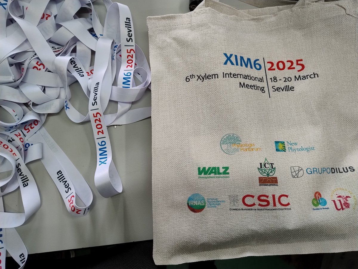 📢Everything is set for #XIM6! !📢

It will surely be a great and intense week, reuniting with many colleagues in #Seville 👥

🤩The program is really exciting:
👇👇👇
xim6.csic.es/programme/

We’re looking forward to seeing you in #Seville!☀️