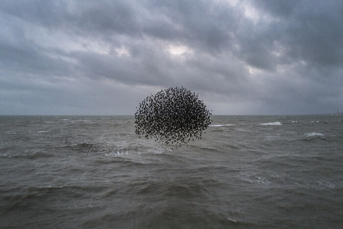 ZorzStudios's tweet image. 25 creative  #StreetPhotos that were taken at the right time and place by #ChrisHarrison zorz.it/pPjKp | #SaumyaRatan #UK #AccidentalPhotos #CoincidencePhotos #occurrences #StreetPhotography #art #humor