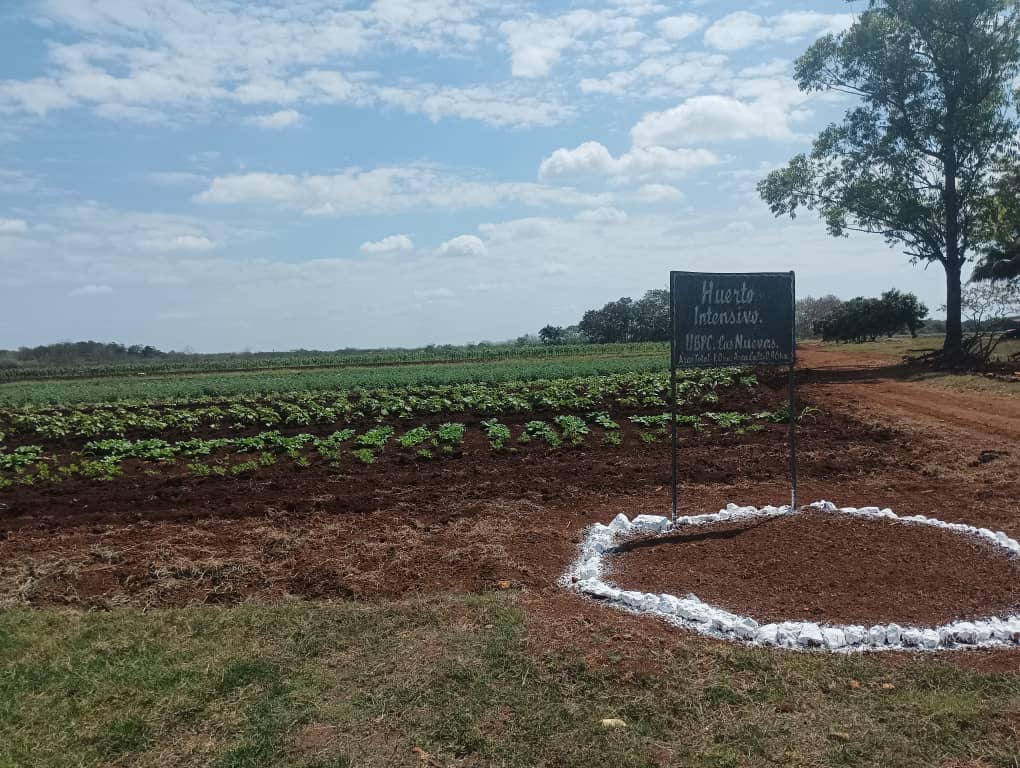En el recorrido nacional de la Agricultura Urbana,Suburbana y Familiar en la UEB Orlando Castañeda de la EAIG #SurDelJíbaro,se visitaron varias unidades productivas de #LaSierpe
#SanctiSpíritusEnMarcha 
<a href="/AlexisLorente74/">Alexis Lorente Jiménez</a> 
<a href="/DeivyPrezMartn1/">Deivy Pérez Martín</a> 
<a href="/Carlos_GRguez/">Carlos Gutiérrez Rodríguez</a> 
<a href="/yilian16152/">Yilian Diaz</a> 
<a href="/OsmelO3/">Osmel O</a>