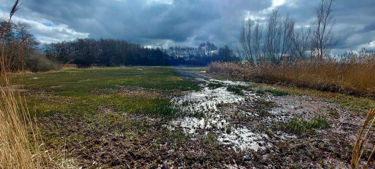 Boswachter Poulussen tweet media