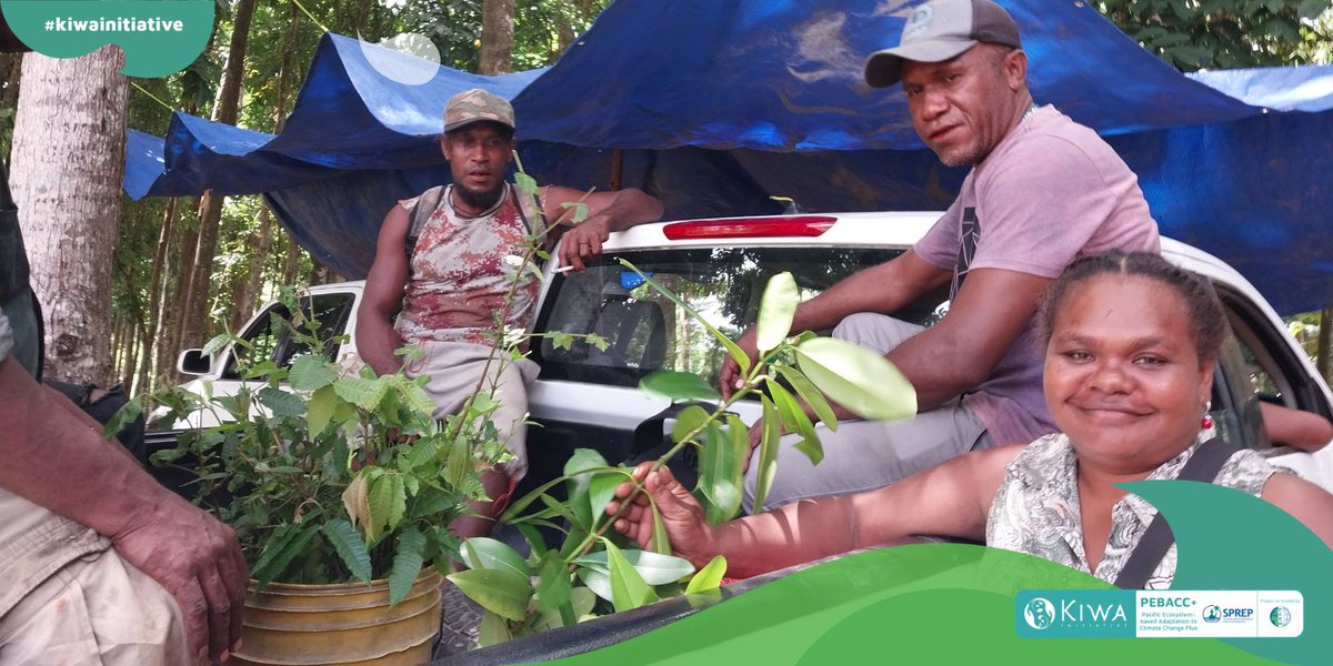 SPREP (@sprepchannel) on Twitter photo 🌱Community-led reforestation with 40 participants in Solomon Is. 🇸🇧 gaining vital skills to restore degraded lands at the Barana Community Reforestation Training via #PEBACC+ funded by <a href="/InitiativeKiwa/">Kiwa Initiative</a> & <a href="/FFEM_Fr/">Fonds français pour l'environnement mondial (FFEM)</a>; local knowledge key to climate resilience! bit.ly/4bBJ8sO 🌱Community-led reforestation with 40 participants in Solomon Is. 🇸🇧 gaining vital skills to restore degraded lands at the Barana Community Reforestation Training via #PEBACC+ funded by <a href="/InitiativeKiwa/">Kiwa Initiative</a> & <a href="/FFEM_Fr/">Fonds français pour l'environnement mondial (FFEM)</a>; local knowledge key to climate resilience! bit.ly/4bBJ8sO