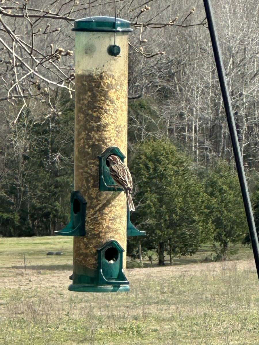 wadestanford's tweet image. A relaxing Spring Break afternoon!
#springbreak #springbreak2025 #springbreakweek #spring #springtime #springflowers #springday