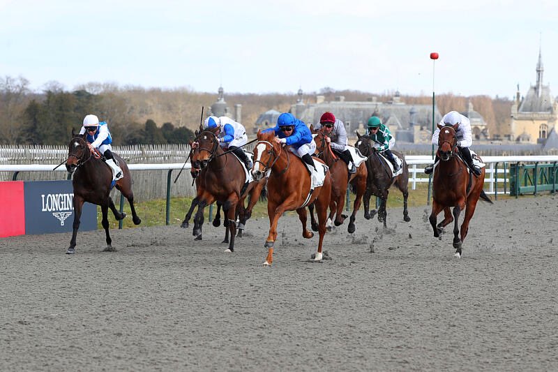 Henri-Alex Pantall (@alexpantall) on Twitter photo ๐ฅROSA (3) wins Prix du Soissonnais (Inรฉdits) at <a href="/fgchantilly/">FG Chantilly</a> <a href="/AlexPantall/">Henri-Alex Pantall</a>
๐ฉ <a href="/godolphin/">Godolphin</a>
๐๐ป <a href="/piccone_tony/">Piccone Tony</a>
Breeder <a href="/godolphin/">Godolphin</a>
Photos <a href="/AprhChantilly/">Aprh</a> ๐ฅROSA (3) wins Prix du Soissonnais (Inรฉdits) at <a href="/fgchantilly/">FG Chantilly</a> <a href="/AlexPantall/">Henri-Alex Pantall</a>
๐ฉ <a href="/godolphin/">Godolphin</a>
๐๐ป <a href="/piccone_tony/">Piccone Tony</a>
Breeder <a href="/godolphin/">Godolphin</a>
Photos <a href="/AprhChantilly/">Aprh</a>