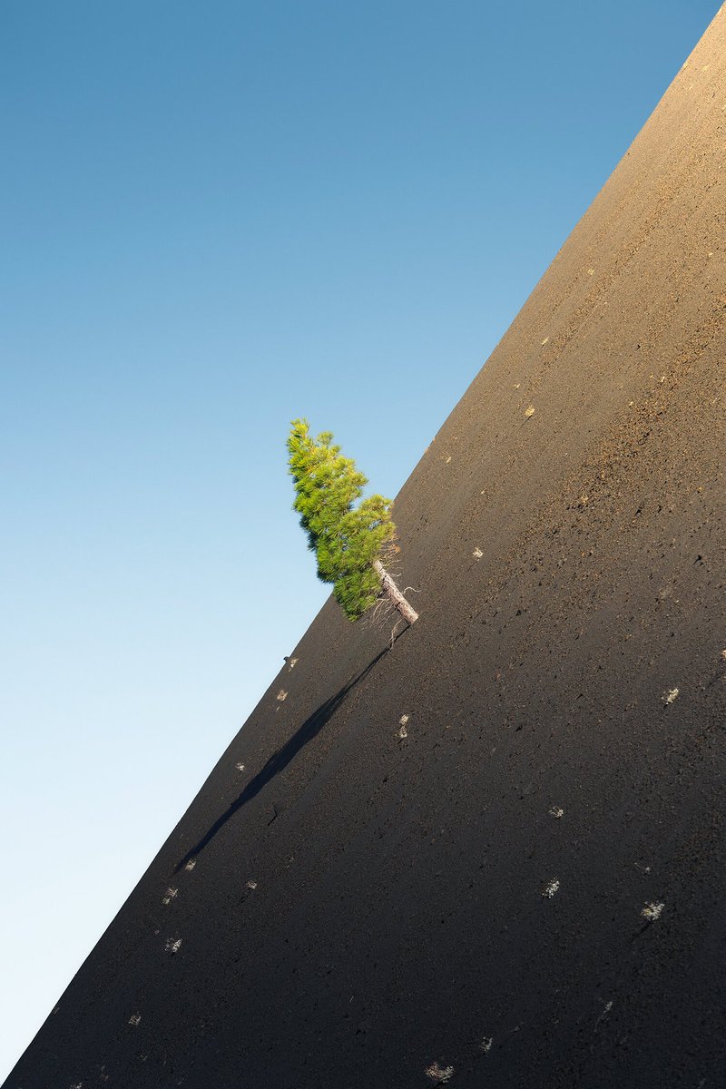 lovely landscapes in the great Southwest