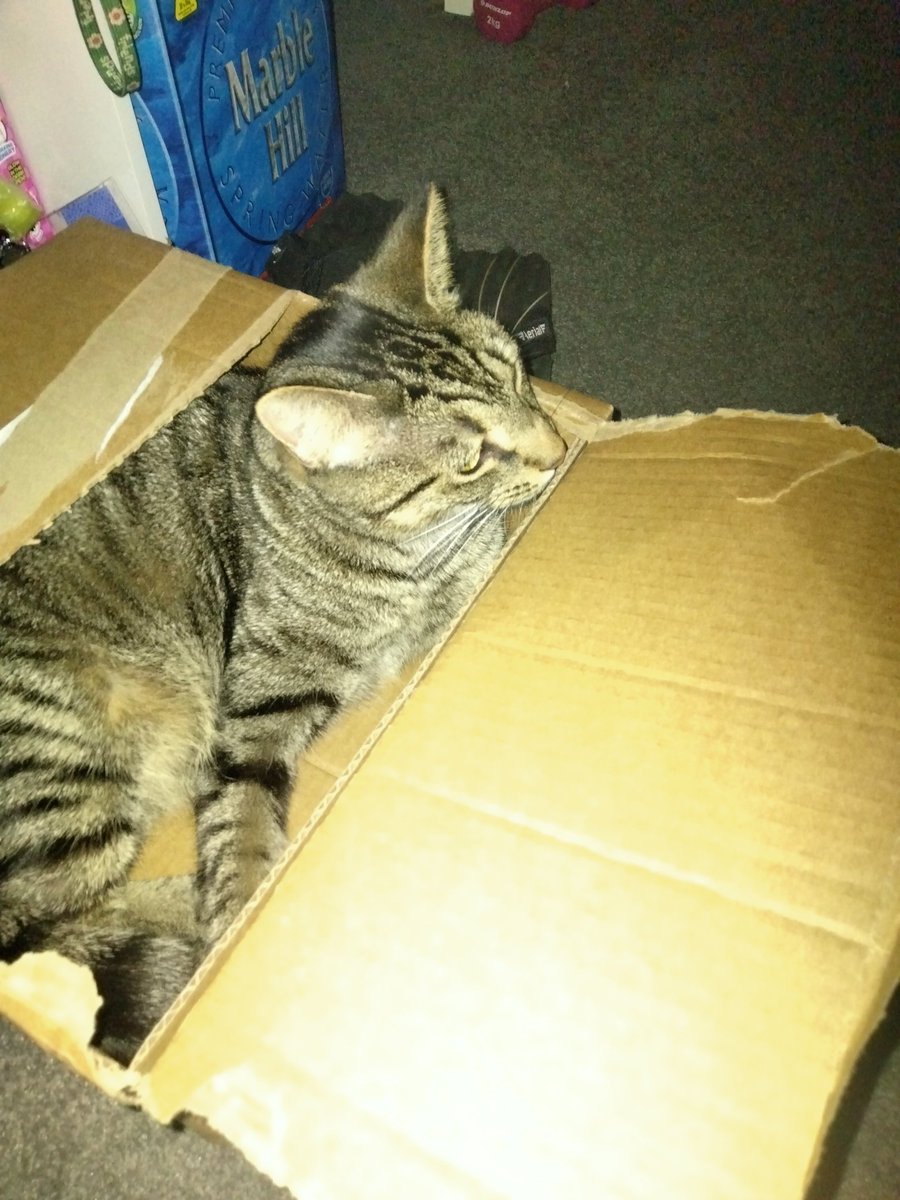 My new box ! Just doing a taste test!