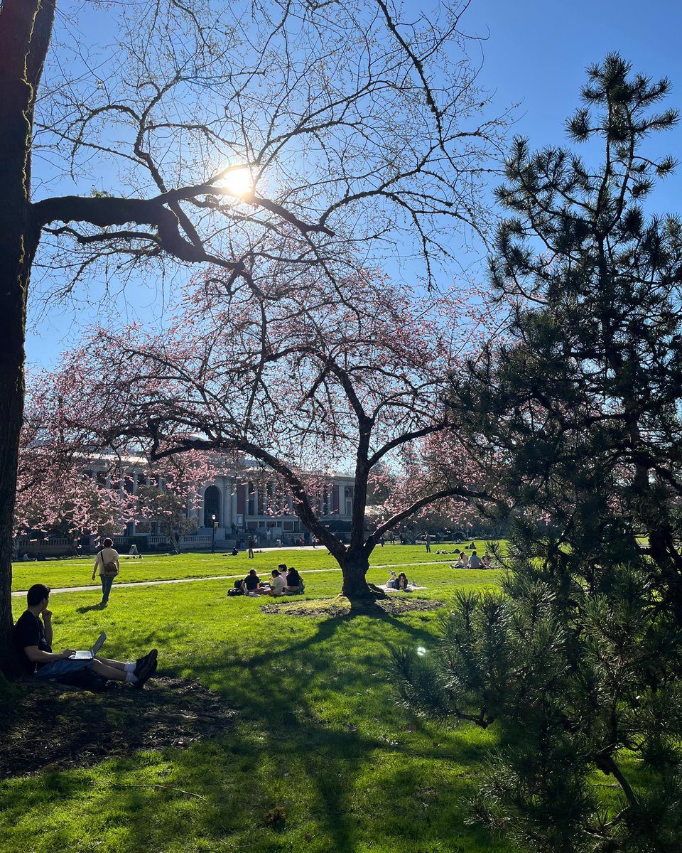 Spring is almost here!
Corvallis / March 2025