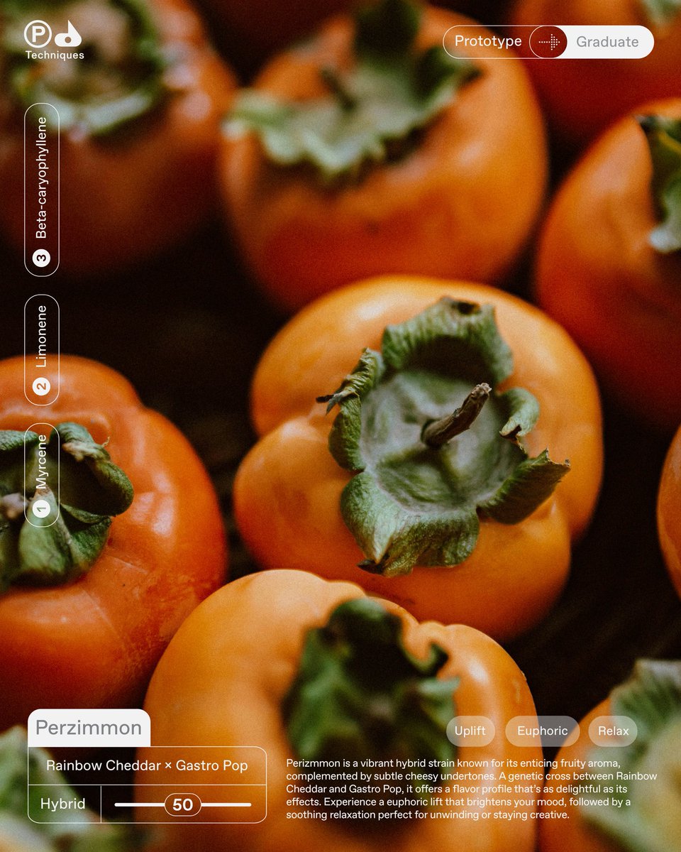 You spoke, we listened. 🌱 
Introducing the newest graduates from our Prototype Program: Trop Cherry Strawberry, Purple Octane, and Perzimmon. Your feedback helped refine these standout strains. Thank you for being part of our journey!
 #PrototypePheedback #WeAreAFarm