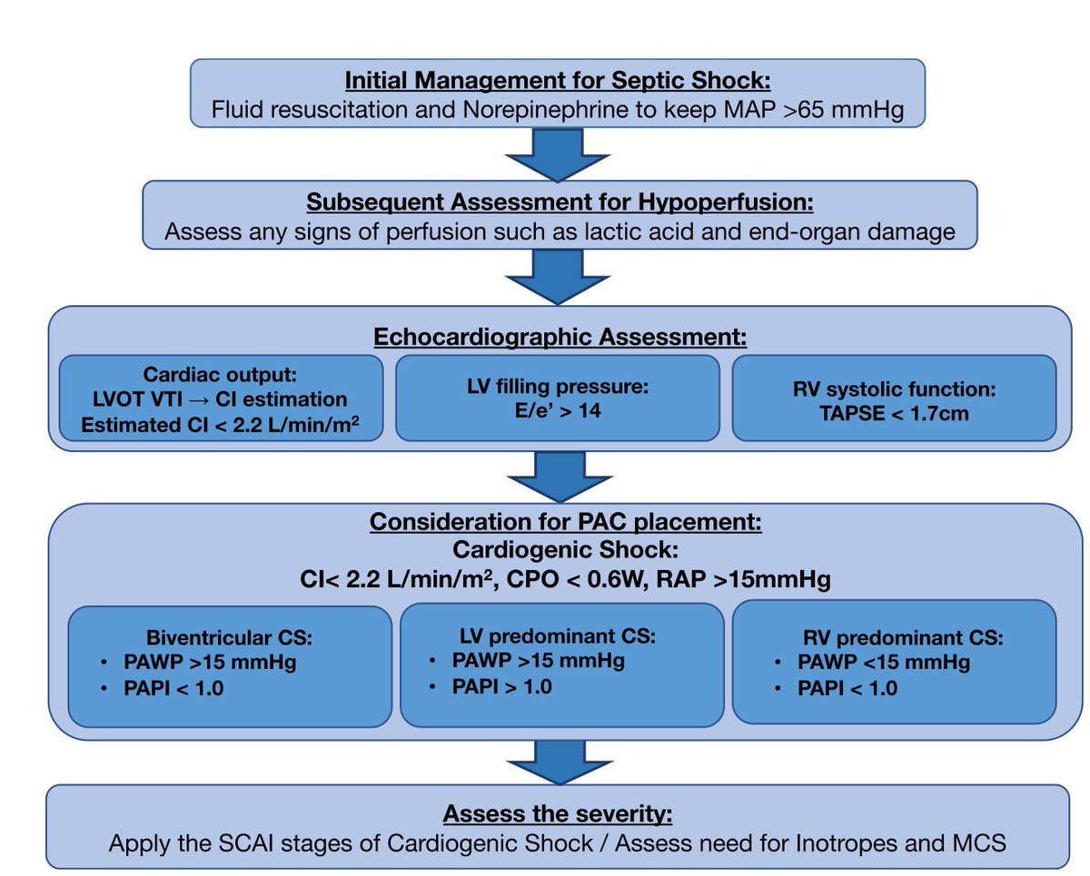 📌Shock cardiogénico💔 inducido por sepsis 🦠 

•5 patrones
1️⃣Shock séptico con función cardíaca preservada.
2️⃣Shock séptico con disfunción cardíaca de nueva aparición o empeoramiento de una disfunción cardíaca preexistente (SICS).
3️⃣Shock séptico con disfunción cardíaca