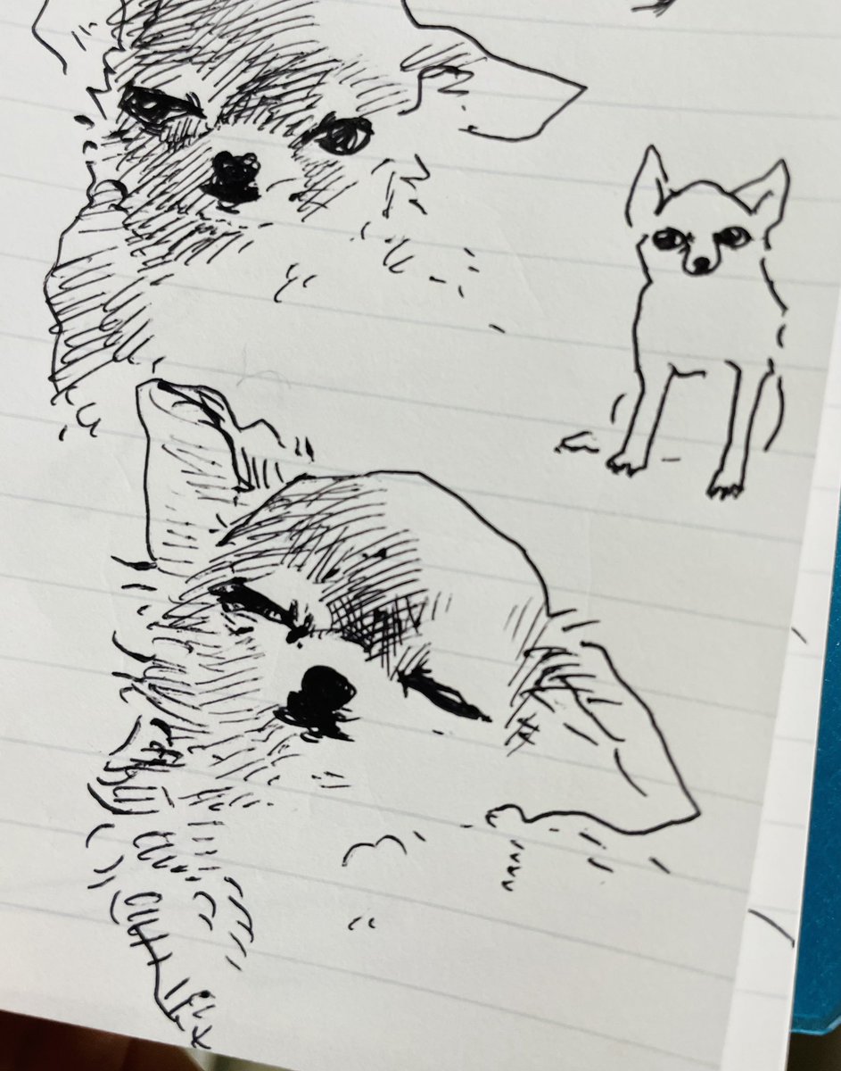 yik🔥 (@m628yik) on Twitter photo 