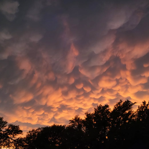allison0133's tweet photo. Reels is being a little stubborn today, so here’s a view of these absolutely insane clouds instead ☁️✨ Nature’s masterpiece! #Clouds #SkyArt https://t.co/1GWaBz9CQi