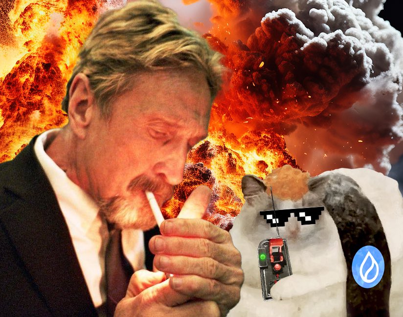 Suishicat tweet media