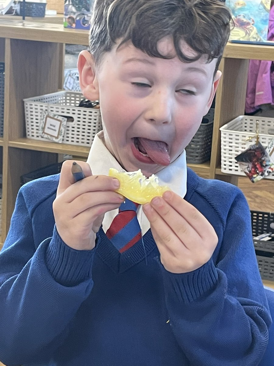 redgateyear3's tweet photo. We are learning about our senses in #rcpscience so today we focussed on touch using a feely box and touched items we couldn’t see to guess what they were. Then we used our taste sense to describe the taste of some foods #BritishScienceWeek we decided the lemon was very bitter 🙂 https://t.co/LMKtwv1rpd