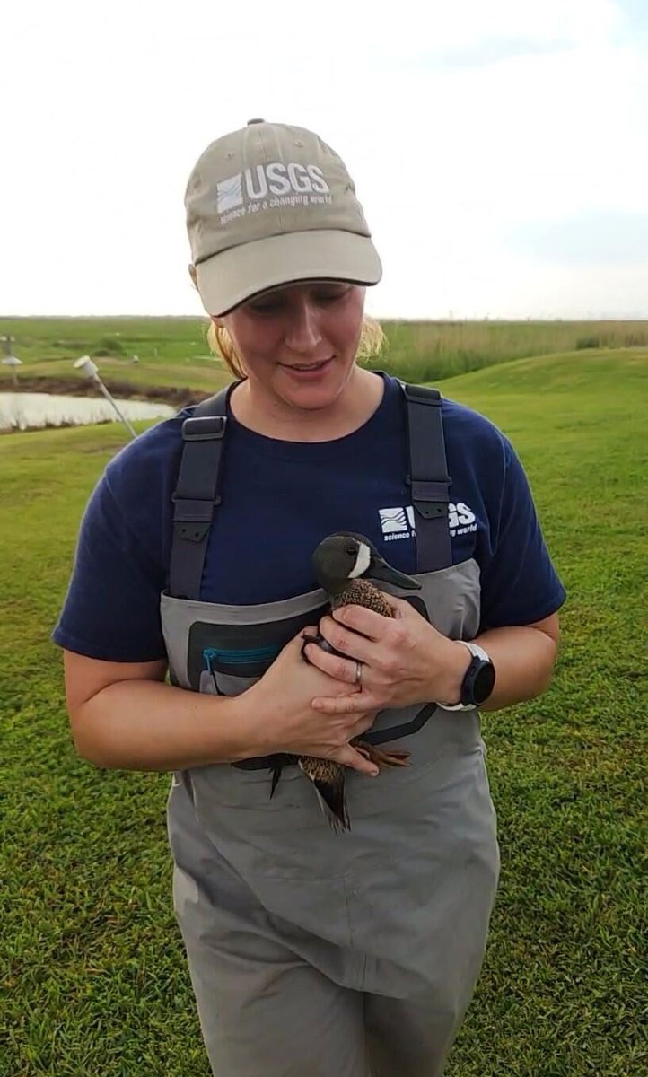 USGS Central Midwest Water Science Center tweet media