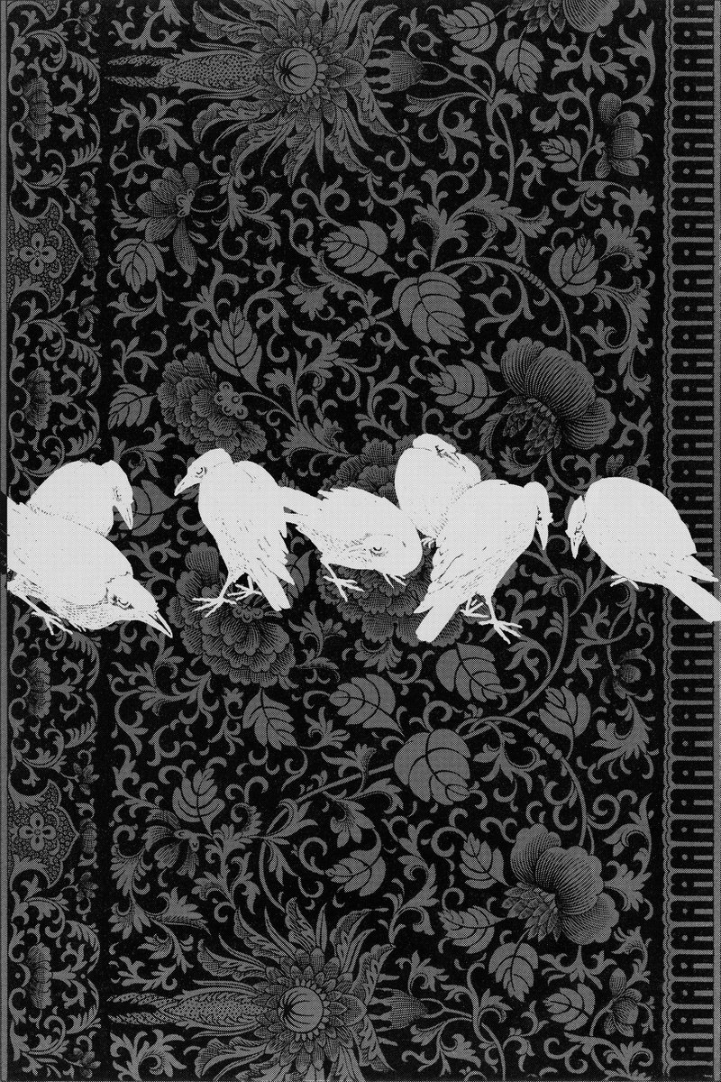 _oeJP's tweet image. Oiseaux.2025