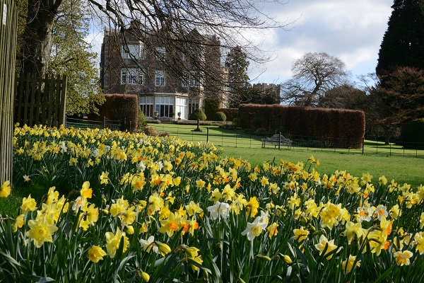 Goldsborough Hall (@goldsborohall) on Twitter photo Open gardens at Goldsborough Hall on 23rd March 11-4pm for the NGS. Highlights incl woodland walk and Lime Tree Walk underplanted with over 50,000 daffodils. Drinks, sandwiches, scones. FREE garden talks and plant stall. £7.50 per adult, kids free. Dogs welcome <a href="/NGSOpenGardens/">National Garden Scheme</a> Open gardens at Goldsborough Hall on 23rd March 11-4pm for the NGS. Highlights incl woodland walk and Lime Tree Walk underplanted with over 50,000 daffodils. Drinks, sandwiches, scones. FREE garden talks and plant stall. £7.50 per adult, kids free. Dogs welcome <a href="/NGSOpenGardens/">National Garden Scheme</a>