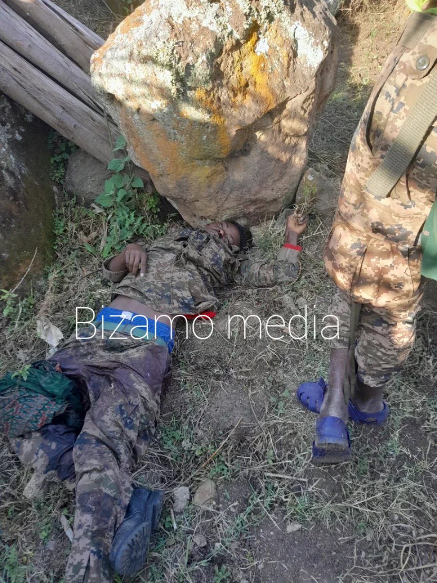 AmharaUpdates's tweet photo. Graphic 🚨:

Dead ENDF soldiers who were killed in the recent counterattack by the Amhara Fano in Wollo (Bete- Amhara).
——
በአማራ ፋኖ በወሎ [ቤተዐምሐራ] የተደመሰሱ የመከላከያ አባላት ። https://t.co/SB0eaDw9zi