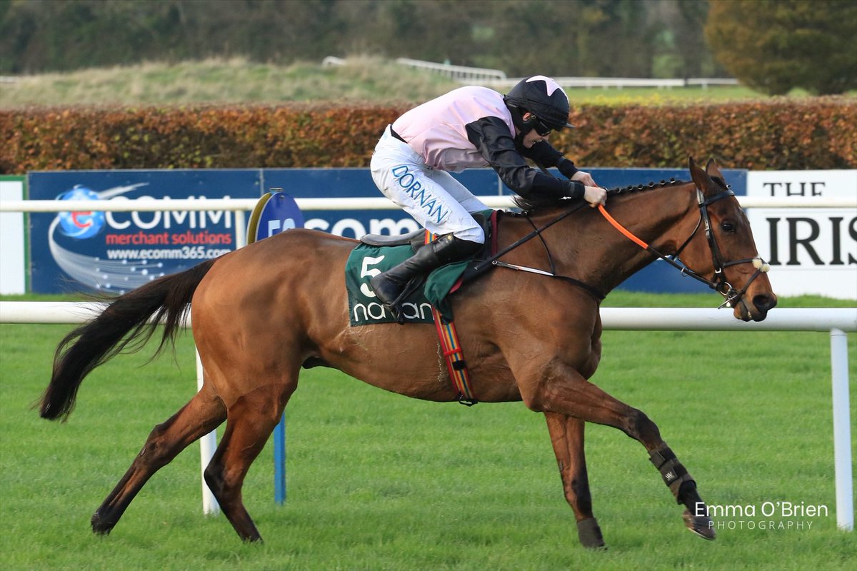 EmmaOBrien2204's tweet image. So happy to see Bob Olinger winning at Cheltenham, one of my most favourite horses in training to have followed over the years 🫶🏼