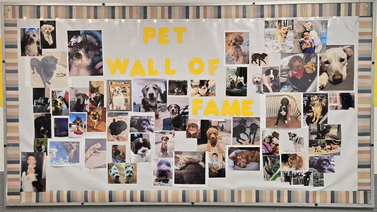 @ReadingwithMrs.Hall (@halla01_hall) on Twitter photo Sandshore is wild about their pets!!! Keep sending in your photos for our Wall of Fame. #readingisfun <a href="/Jen1Curry/">Jennifer Curry</a> <a href="/Elena_Reyes_9/">Elena Reyes</a> <a href="/MOSandshore/">Mount Olive Sandshore School</a> Sandshore is wild about their pets!!! Keep sending in your photos for our Wall of Fame. #readingisfun <a href="/Jen1Curry/">Jennifer Curry</a> <a href="/Elena_Reyes_9/">Elena Reyes</a> <a href="/MOSandshore/">Mount Olive Sandshore School</a>
