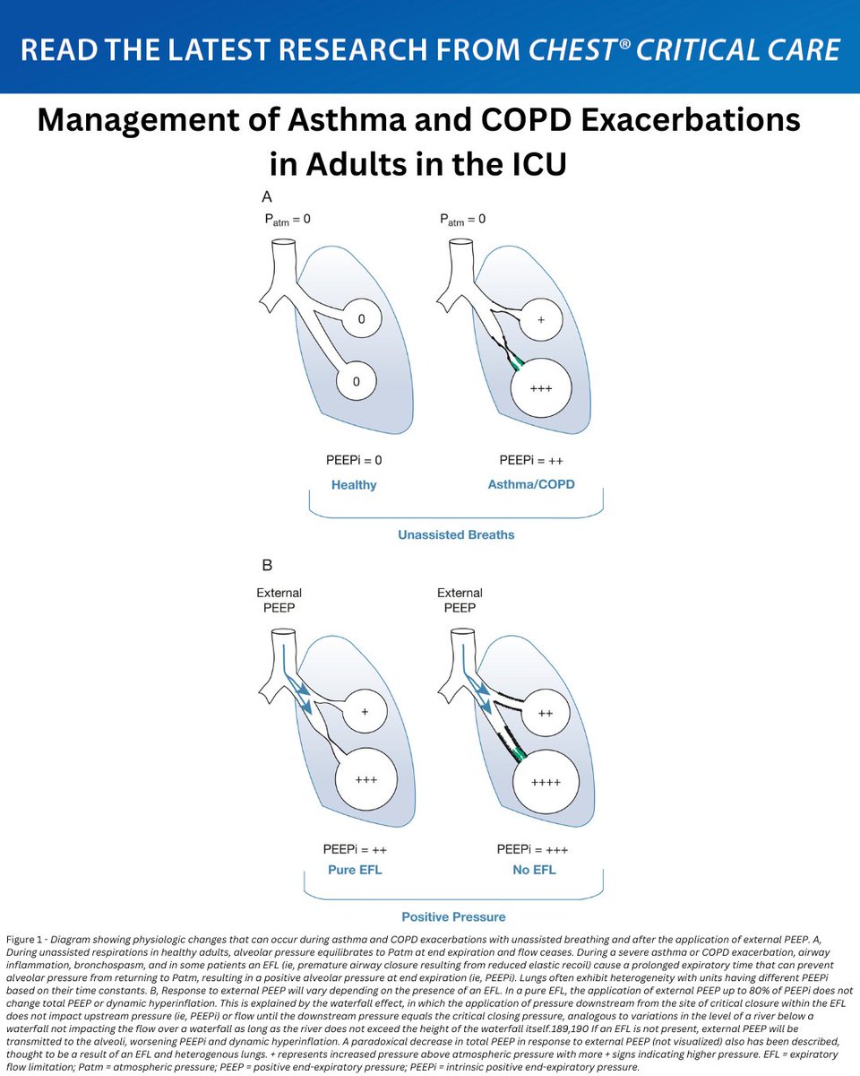 Management of #Asthma and #COPD Exacerbations in Adults in the ICU

Read the full research in the March issue of #journal_CHESTCritCare: hubs.la/Q03bNLd00
#JournalCHEST #CritCare #MedEd