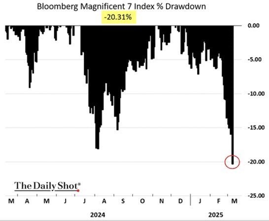 🔮"Indice Mag 7: Entrata in Territorio Ribassista con un Drawdown del -20,31%"