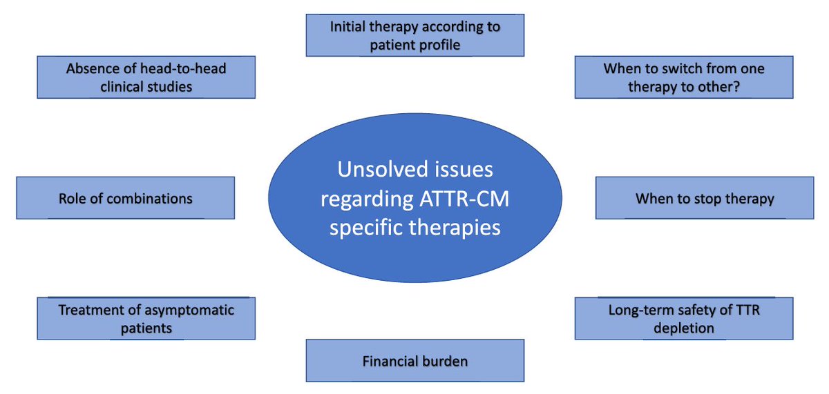 Pablo Garcia-Pavia (@dr_pavia) on Twitter photo The future looks bright but there are significant unsolved questions that would need to be addressed regarding specific therapies (5/6) The future looks bright but there are significant unsolved questions that would need to be addressed regarding specific therapies (5/6)