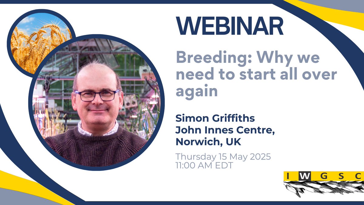 wheatgenome (@wheatgenome) on Twitter photo 🚨 Webinar Alert! 🚨
Join Simon Griffiths <a href="/JohnInnesCentre/">John Innes Centre</a> on 15 May 2025 at 11 AM EDT 🌾and how cutting-edge genetics and genomics can unlock lost diversity to secure future yields.
🔗 Register now: tinyurl.com/2k78bmmh 🚨 Webinar Alert! 🚨
Join Simon Griffiths <a href="/JohnInnesCentre/">John Innes Centre</a> on 15 May 2025 at 11 AM EDT 🌾and how cutting-edge genetics and genomics can unlock lost diversity to secure future yields.
🔗 Register now: tinyurl.com/2k78bmmh