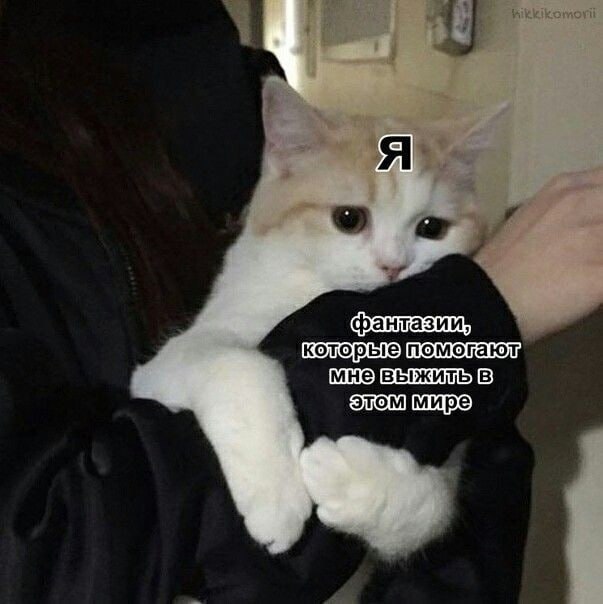 аня липвиг 🌱 (@ann_lipwig) on Twitter photo 