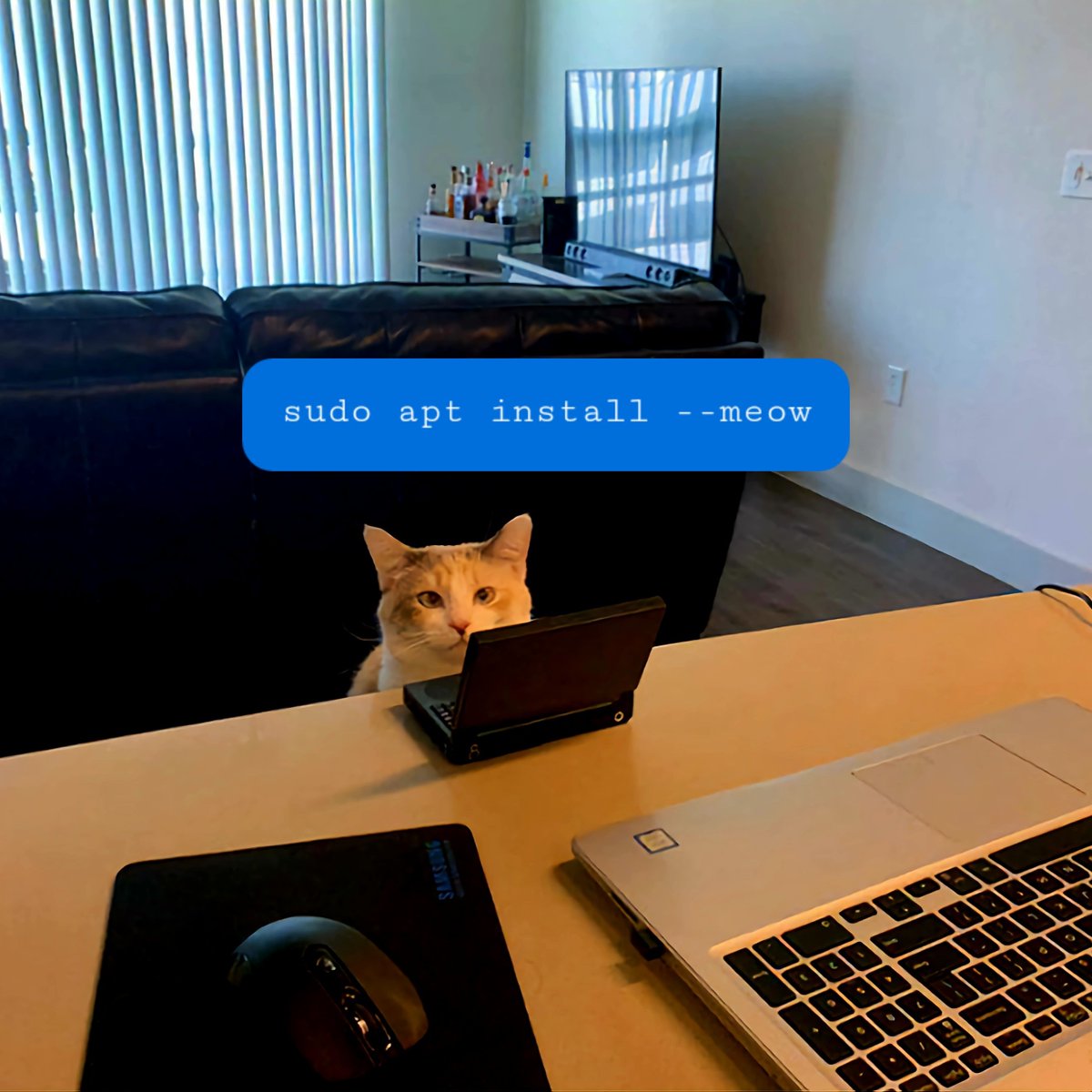 GithubProjects's tweet image. sudo apt install --meow