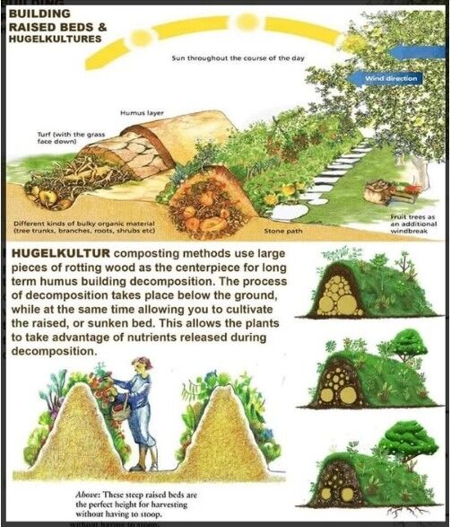 GoNaturalEd's tweet image. Do you hugelkultur? #farms #farming #agriculture #composting