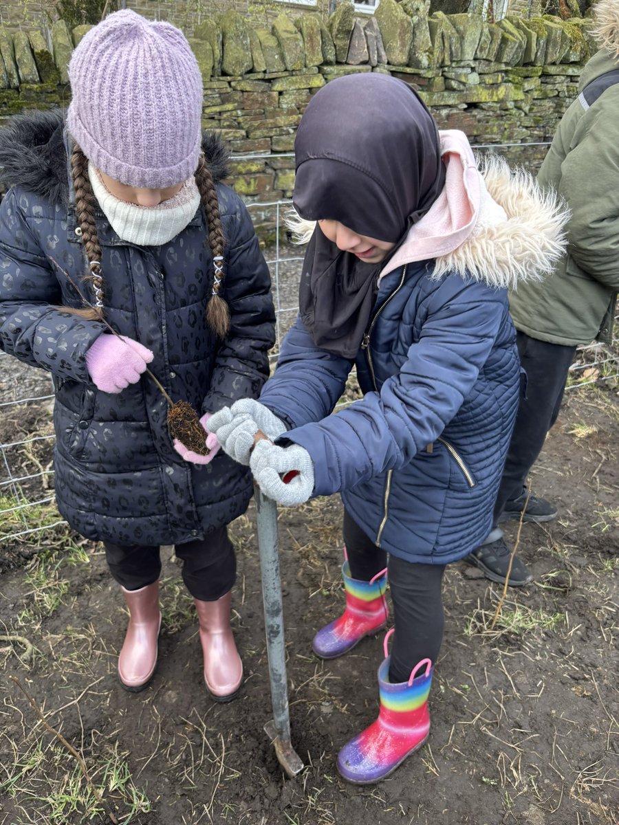 WarleyRoadPri's tweet photo. ๐ฒYear 4 have been busy planting hedgerows in our local countryside this week, learning all about types of trees, habitats and slowing down water run-off on farmland ๐ฑ #ichallenge #countryside #teamwork #treeplanting https://t.co/jplyOBiwjY