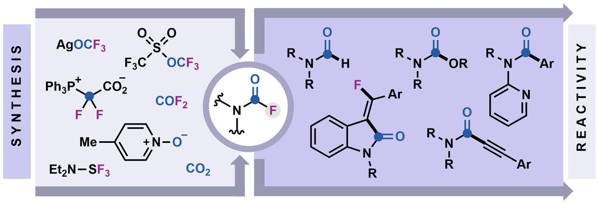 Christine Le (@christine_m_le) on Twitter photo Hot off the press! 🔥We review the use of carbamoyl fluorides as a platform to explore fluoride-enabled reactivity. Just accepted in <a href="/Synthesis_1969/">SYNTHESIS Journal</a> <a href="/thiemechemistry/">Chemistry at Thieme</a>. Congrats, Maryam! <a href="/LeResearchGroup/">The Le Group</a>
thieme-connect.com/products/ejour… Hot off the press! 🔥We review the use of carbamoyl fluorides as a platform to explore fluoride-enabled reactivity. Just accepted in <a href="/Synthesis_1969/">SYNTHESIS Journal</a> <a href="/thiemechemistry/">Chemistry at Thieme</a>. Congrats, Maryam! <a href="/LeResearchGroup/">The Le Group</a>
thieme-connect.com/products/ejour…