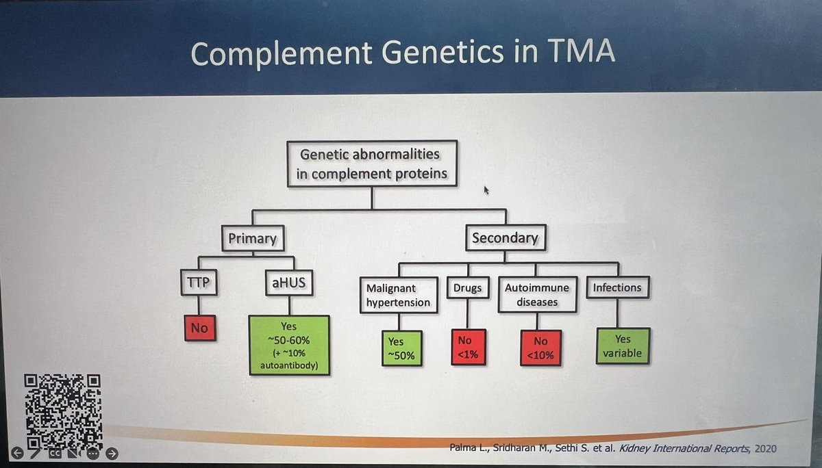 Phenomenal lecture on pathogenesis of TMA/aHUS by <a href="/LilianPalma412/">Lilian Palma🇧🇷</a> <a href="/GlomCon/">GlomCon</a> #Nephrin #TeamTMA