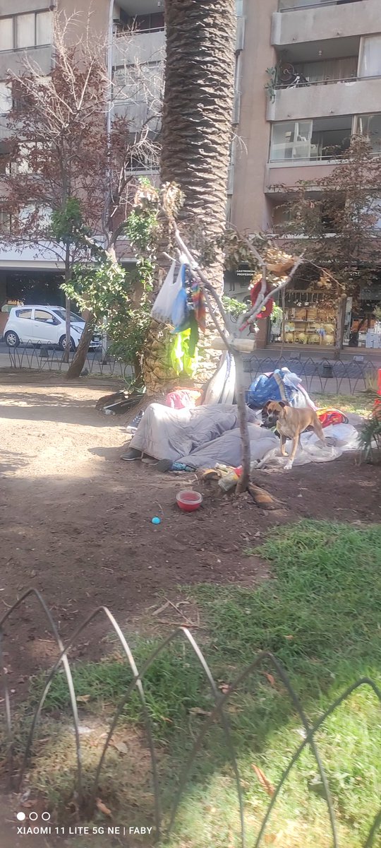 LadyFabiollet's tweet image. En la plaza ecuador en calle San Pablo cn #Amunategui hay un tipo viviendo literalmente hace años ahí.Tiene un perro que se tira a las personas y niños. Arreglaron la plaza, pero uno debe de omitir ese lado por él 
#SantiagoCentro @Muni_Stgo @desbordes