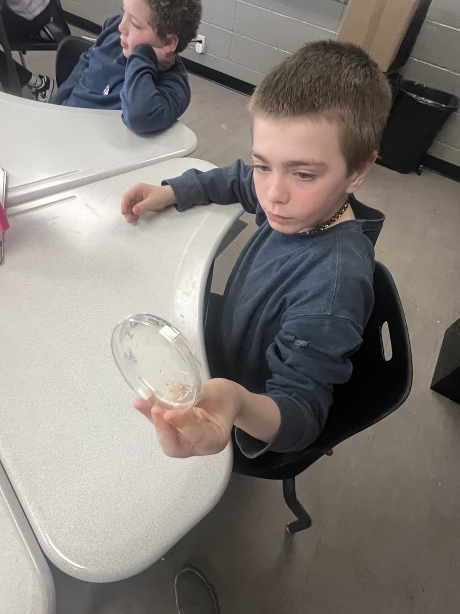 mviewelem's tweet photo. We love Career Day! We are so thankful for the presenters that gave of their time to be here with us, teaching us all about careers!💙
Also, thank you to both Ms. Davis &amp; Ms. Scott for organizing this fun day!!
#TimeToShine #TrojanPride #CareerDay https://t.co/vfu8oOUUKb