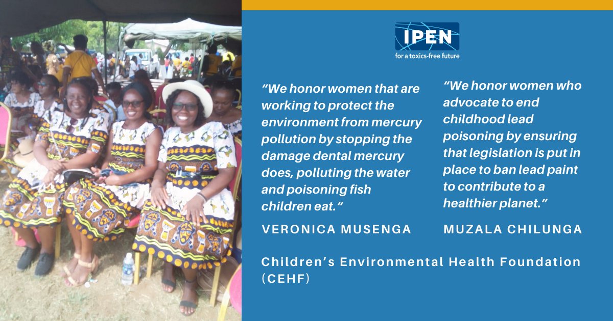 ToxicsFree's tweet photo. Muzala Chilunga and Veronica Musenga from Children’s Environmental Health Foundation (CEHF) shared the quotes in this graphic when asked about International Women’s Day and the women they honor! https://t.co/I61c30LmCB