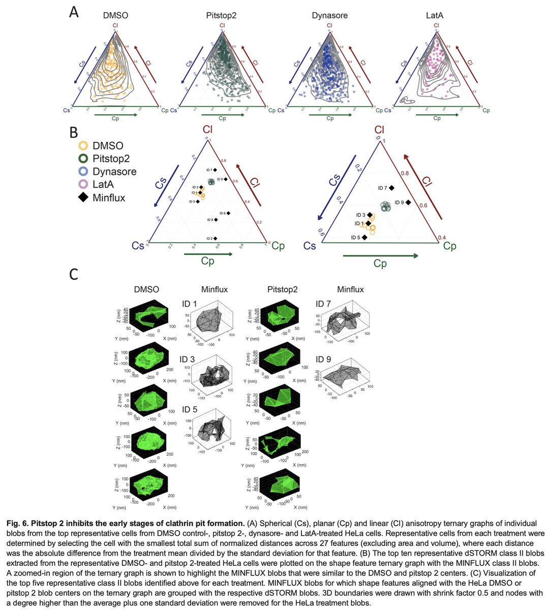 Hamarneh_MIA's tweet photo. New paper in Journal of Cell Science.   SuperResNET: Single molecule network analysis detects changes to clathrin structure by small molecule inhibitors

📄 PDF https://t.co/gNmgVYxhWL
🌐 DOI https://t.co/jak3HsWbeV

@SFU_CompSci https://t.co/hSOVKuoQ1J