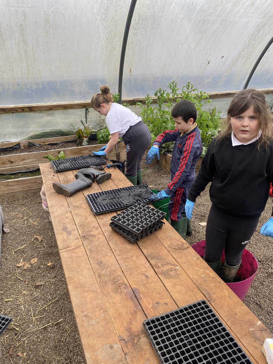 Mrs Doherty_KPS (@mrsdohertykps) on Twitter photo Back at our happy place! We love our visits to Kinneil Walled Garden. Such a positive experience to spend time with nature and help with growing and planting 🌱 <a href="/STS_CIC/">STS C.I.C</a> <a href="/Kinneil_PS/">Kinneil Primary & EYC</a> <a href="/CVSFalkirk/">CVS Falkirk</a> Back at our happy place! We love our visits to Kinneil Walled Garden. Such a positive experience to spend time with nature and help with growing and planting 🌱 <a href="/STS_CIC/">STS C.I.C</a> <a href="/Kinneil_PS/">Kinneil Primary & EYC</a> <a href="/CVSFalkirk/">CVS Falkirk</a>