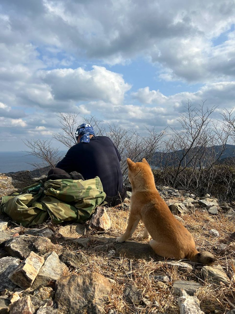 Sanchankantaro's tweet photo. Some journeys are best taken in silence.

$SAN keeps moving, steady and unshaken. 🐕⛰️ https://t.co/lxpIyCWz5B